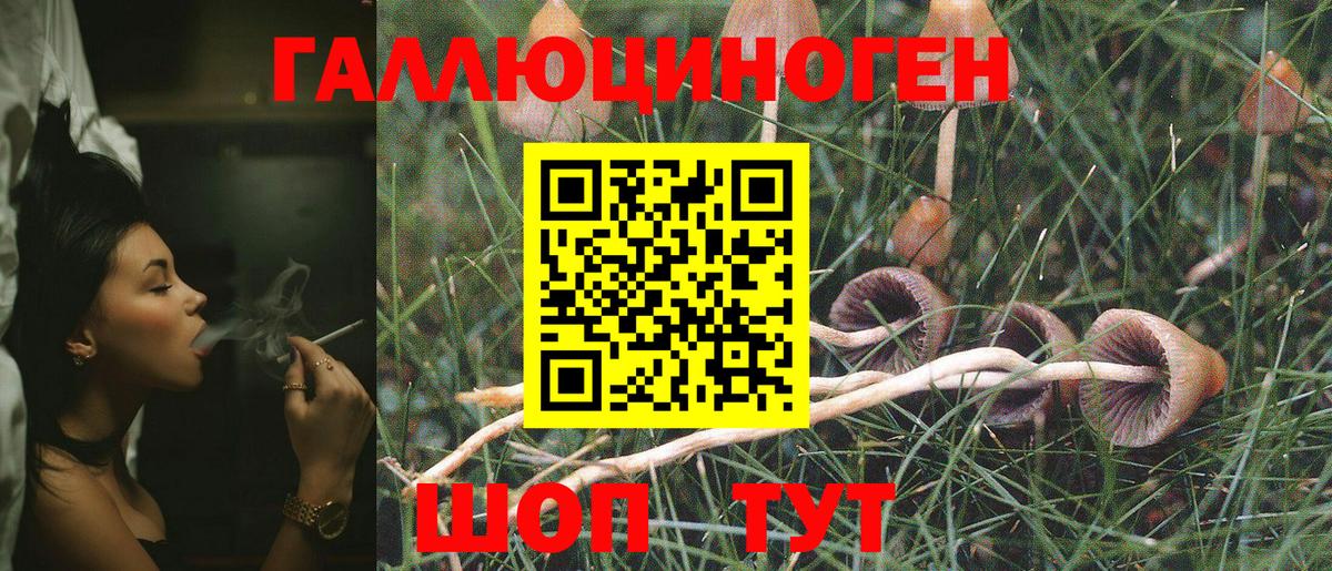 Елизово  Псилоцибиновые грибы MAGIC MUSHROOMS  Вход с VPN  Галлюциногенные грибы Psilocybine cubensis 