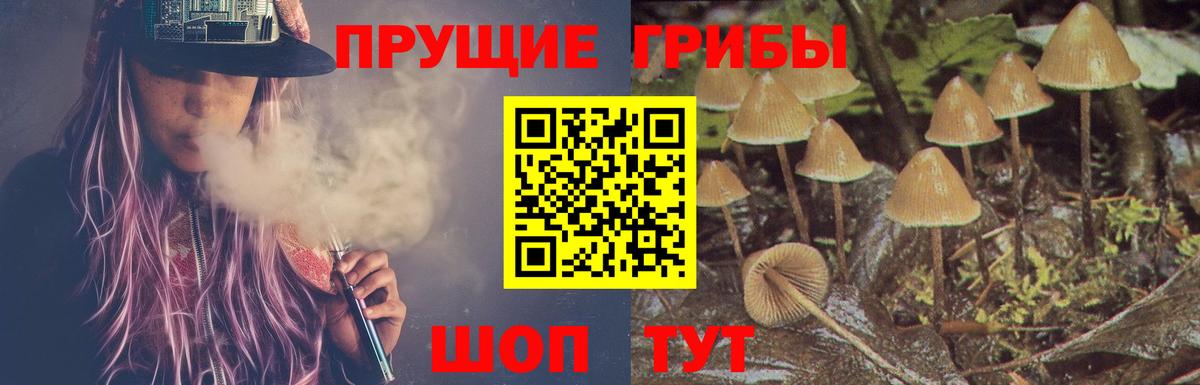 Псилоцибиновые грибы мицелий Елизово